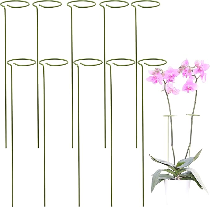 PLANT SUPPORT STICK ( SET OF 12 )