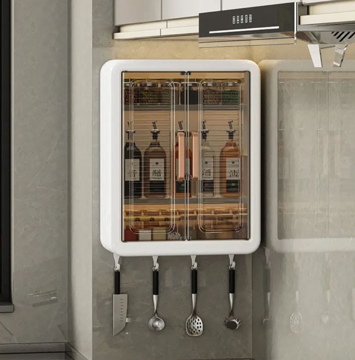 Wall Mount Cabinet