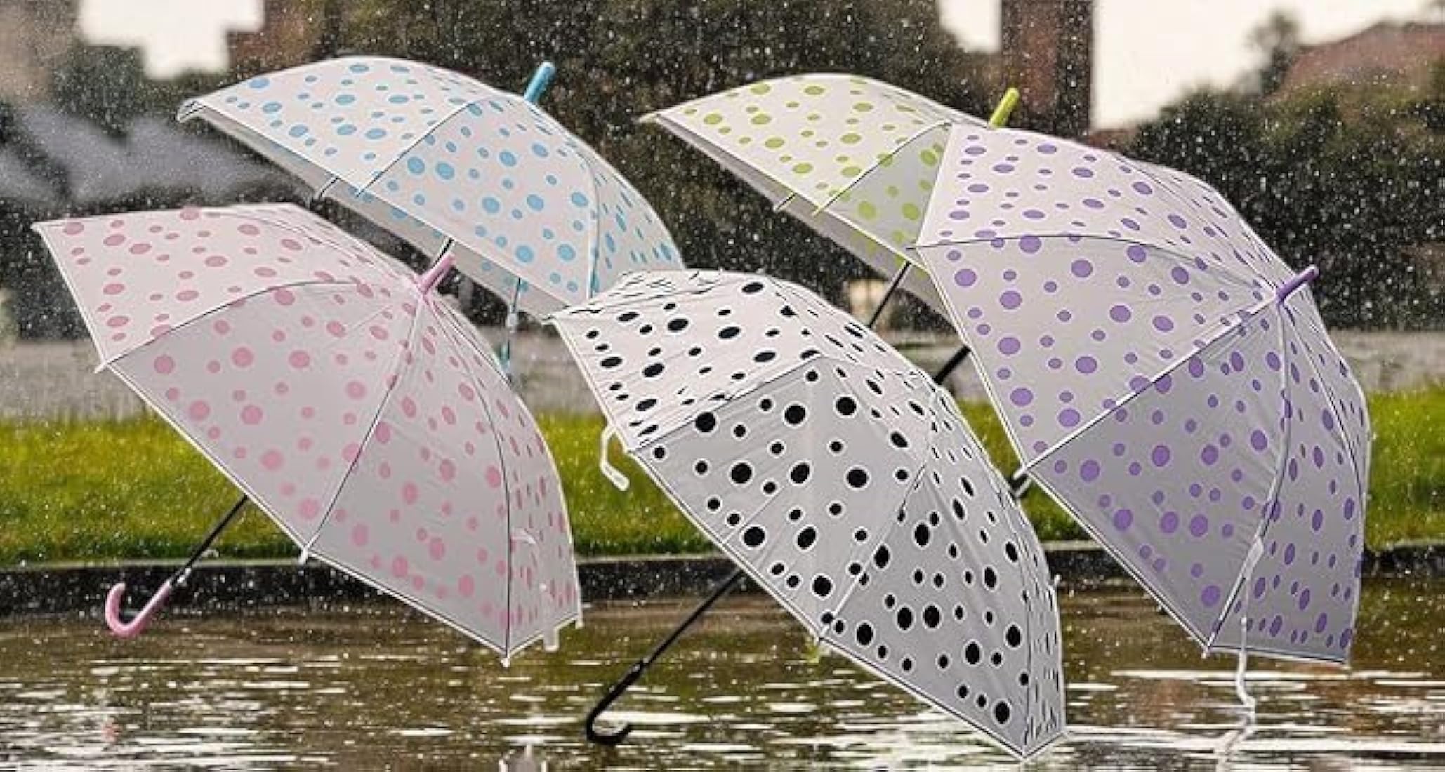 DOTTED UMBRELLA