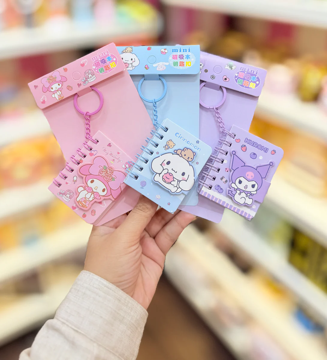 MINI MAGNETIC NOTEBOOK KEYCHAIN (SET OF 2)