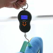 PORTABLE ELECTRONIC SCALE
