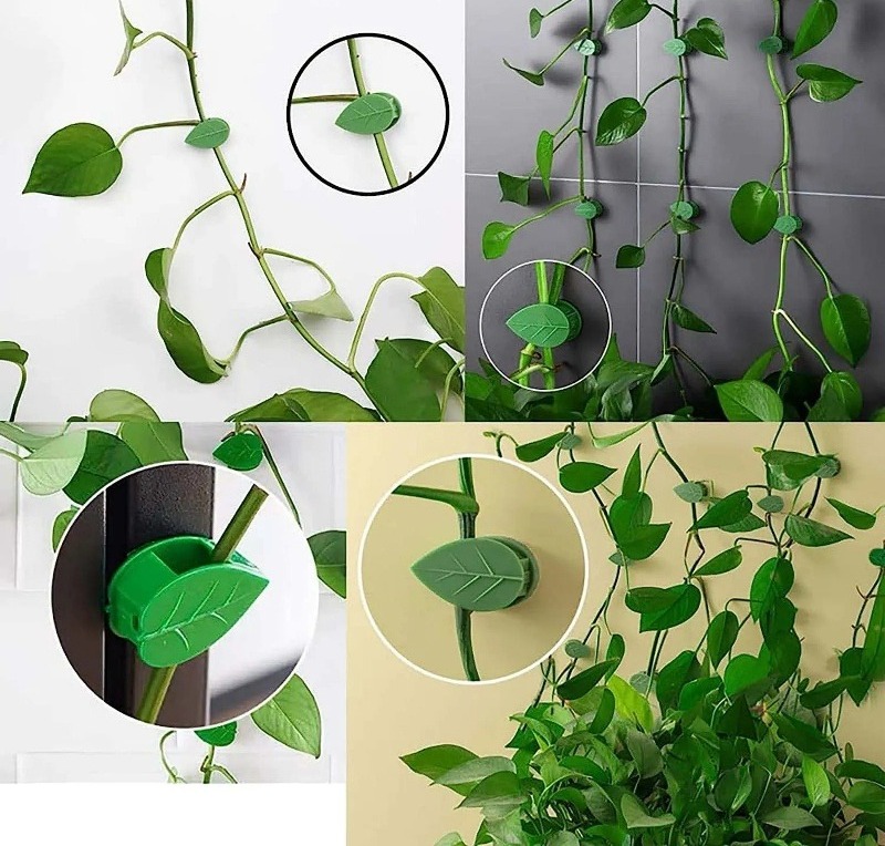 (SET OF 10 )LEAF SHAPE PLANT FIXING CLIP