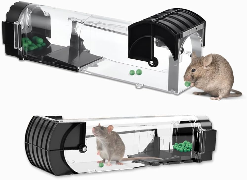 RAT TRAP CAGE
